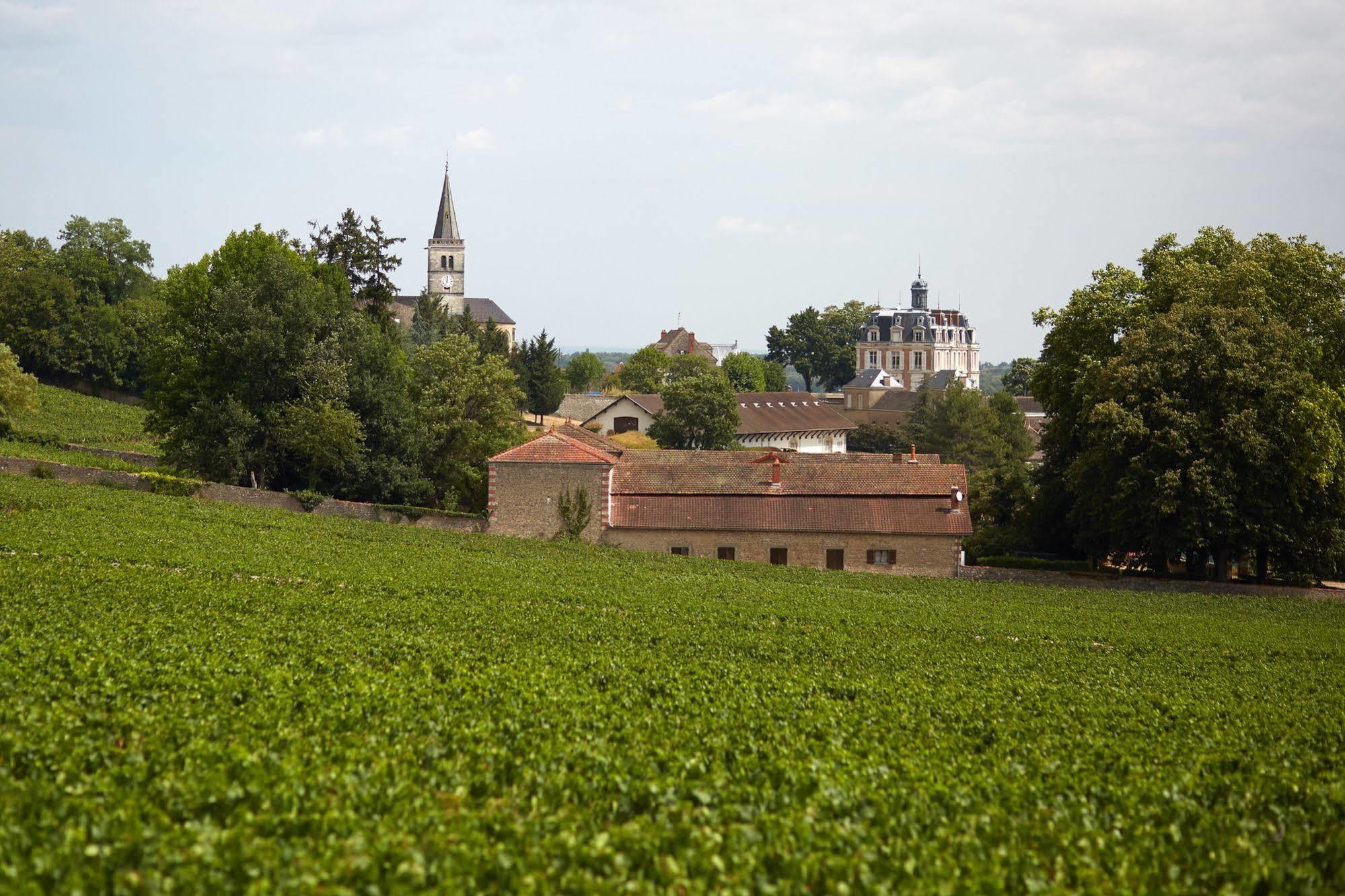 Chateau Saint-Michel - Cercle Des Grands Crus Rully  외부 사진
